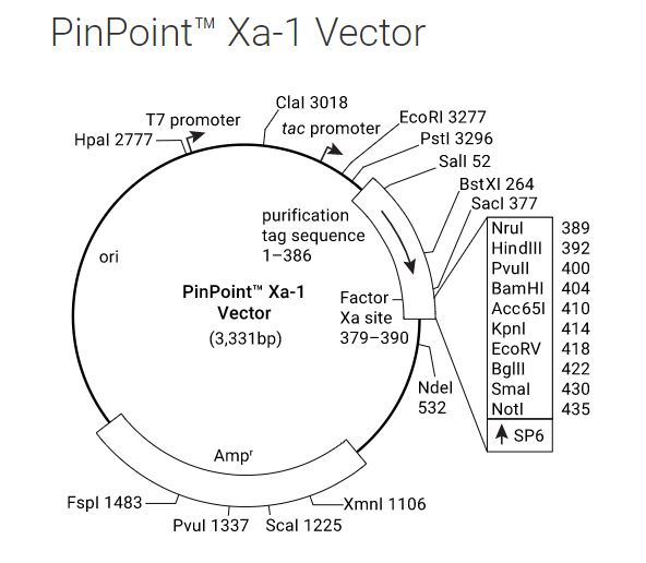 PinPoint Xa-1 Vector