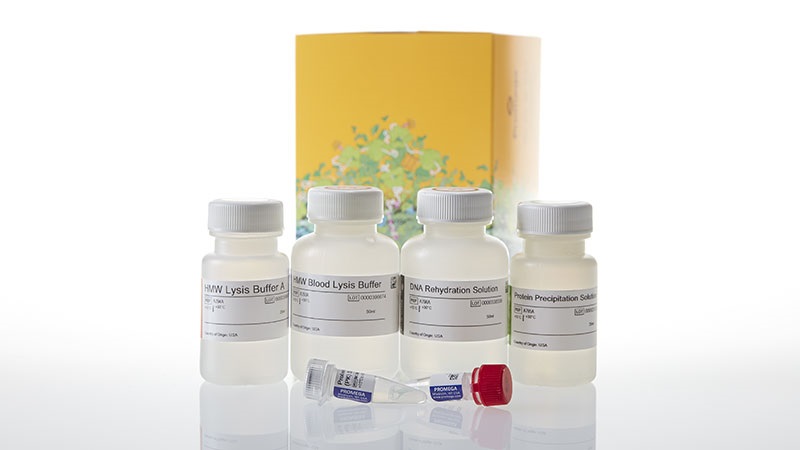 Wizard® HMW DNA Extraction Kit, 50 preps
