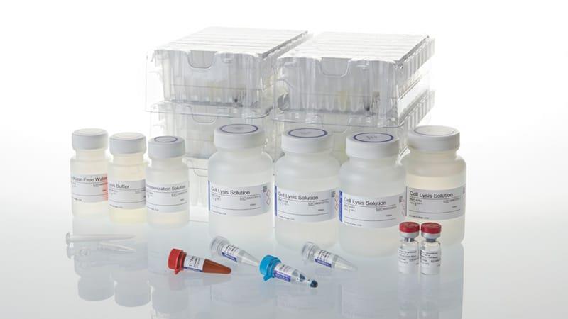 Maxwell RSC simplyRNA Blood Kit, 48 preps