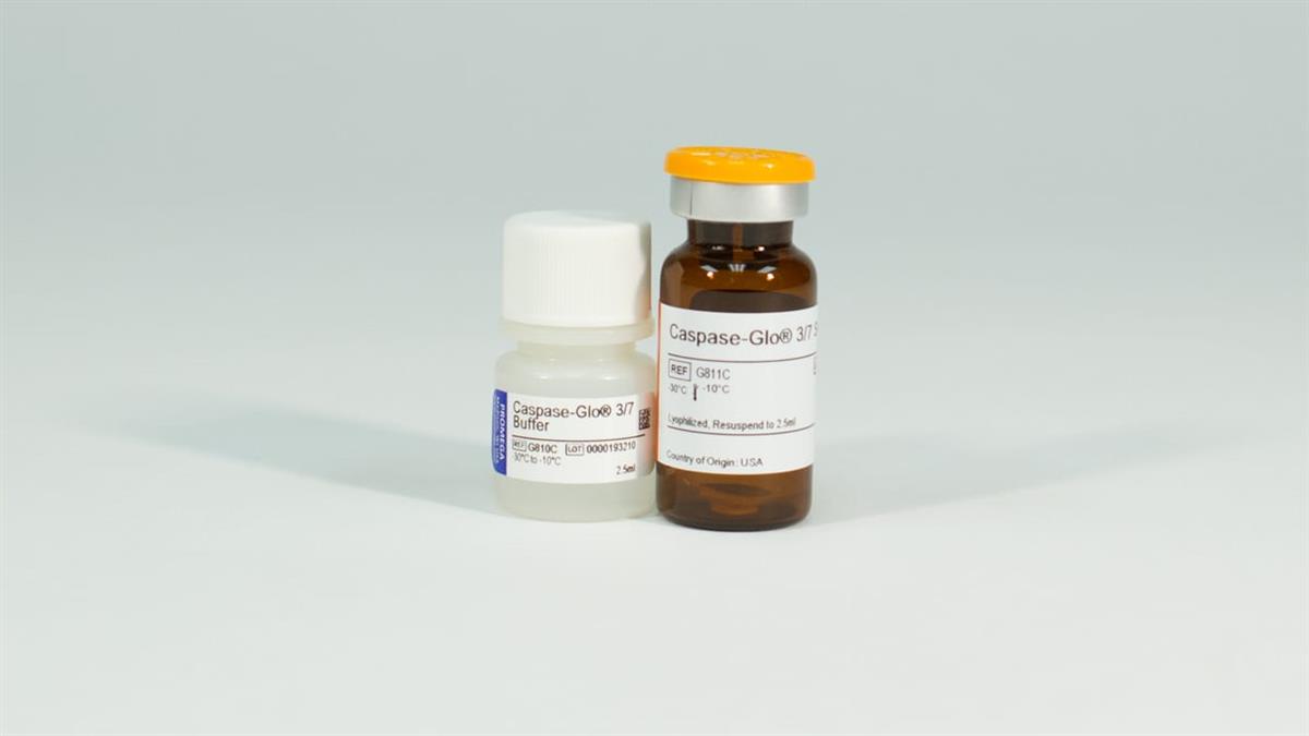 Caspase-Glo 3/7 assay, 10x10 ml