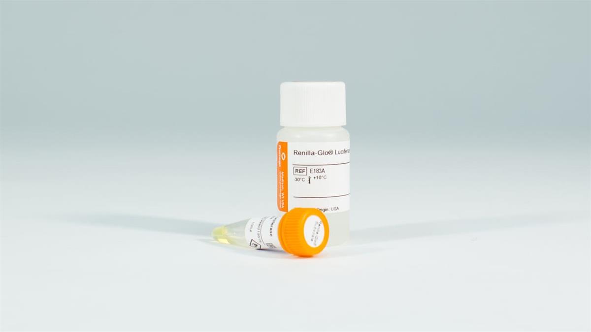 Renilla-Glo Luciferase Assay System, 10x100 ml