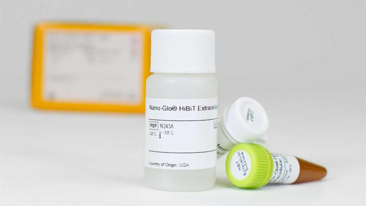 Nano-Glo HiBiT Extracellular Detection System, 10 ml
