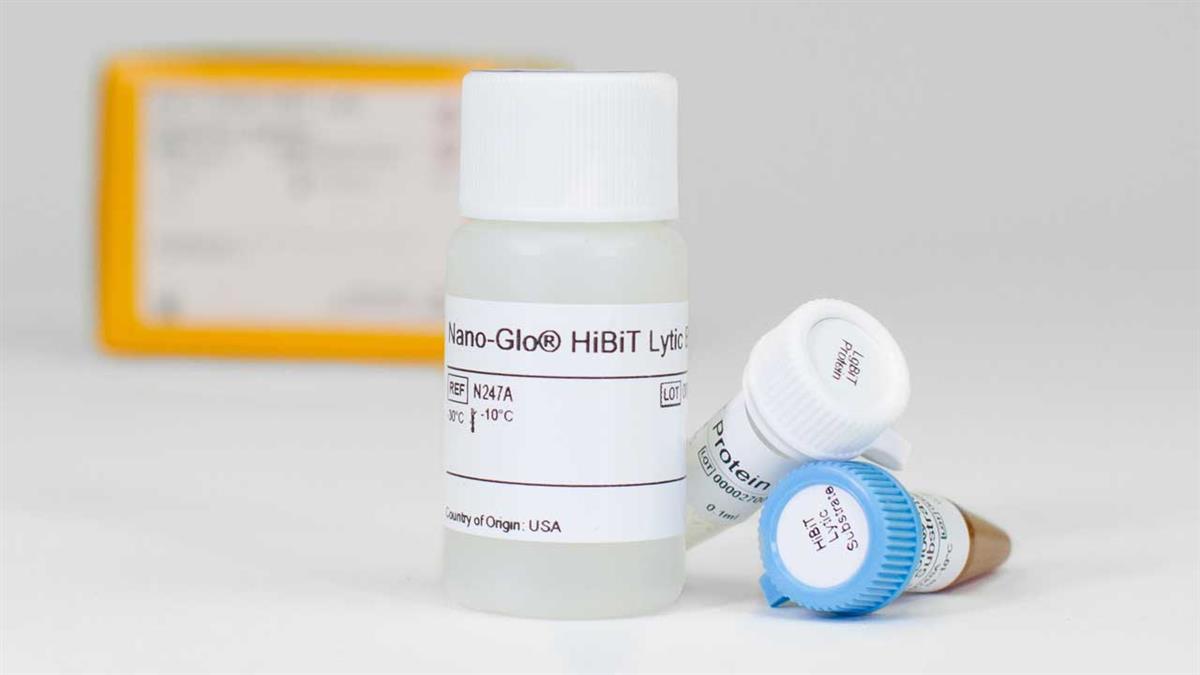Nano-Glo HiBiT Lytic Detection System, 10 ml