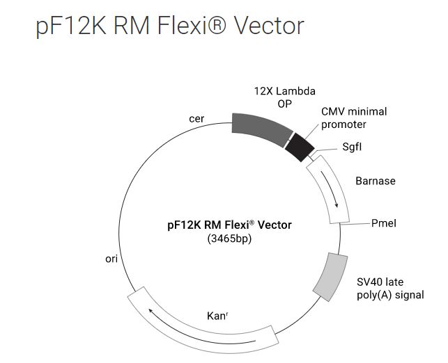 pF12K RM Flexi Vector