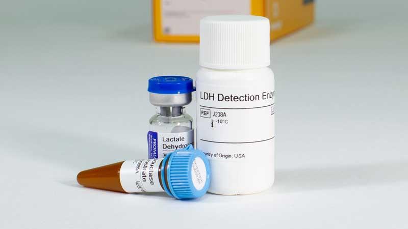 LDH-Glo Cytotoxicity Assay, 10 ml