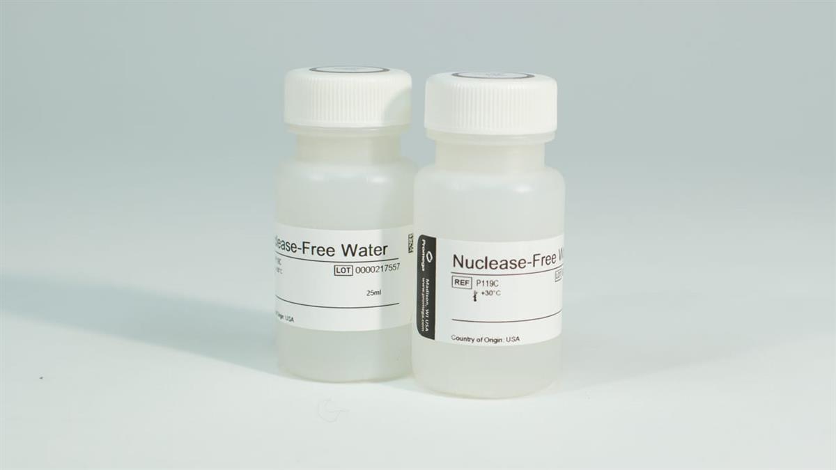 Nuclease-Free Water