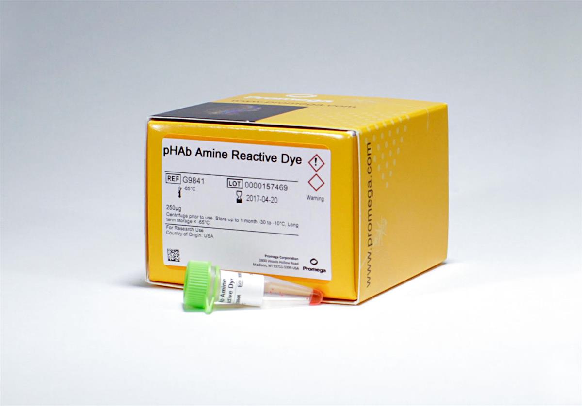 pHAb Amine Reactive Dye, 1 x 250 microg