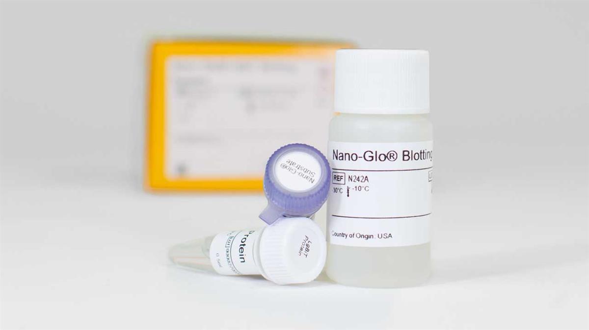 Nano-Glo HiBiT Blotting System, 100 ml