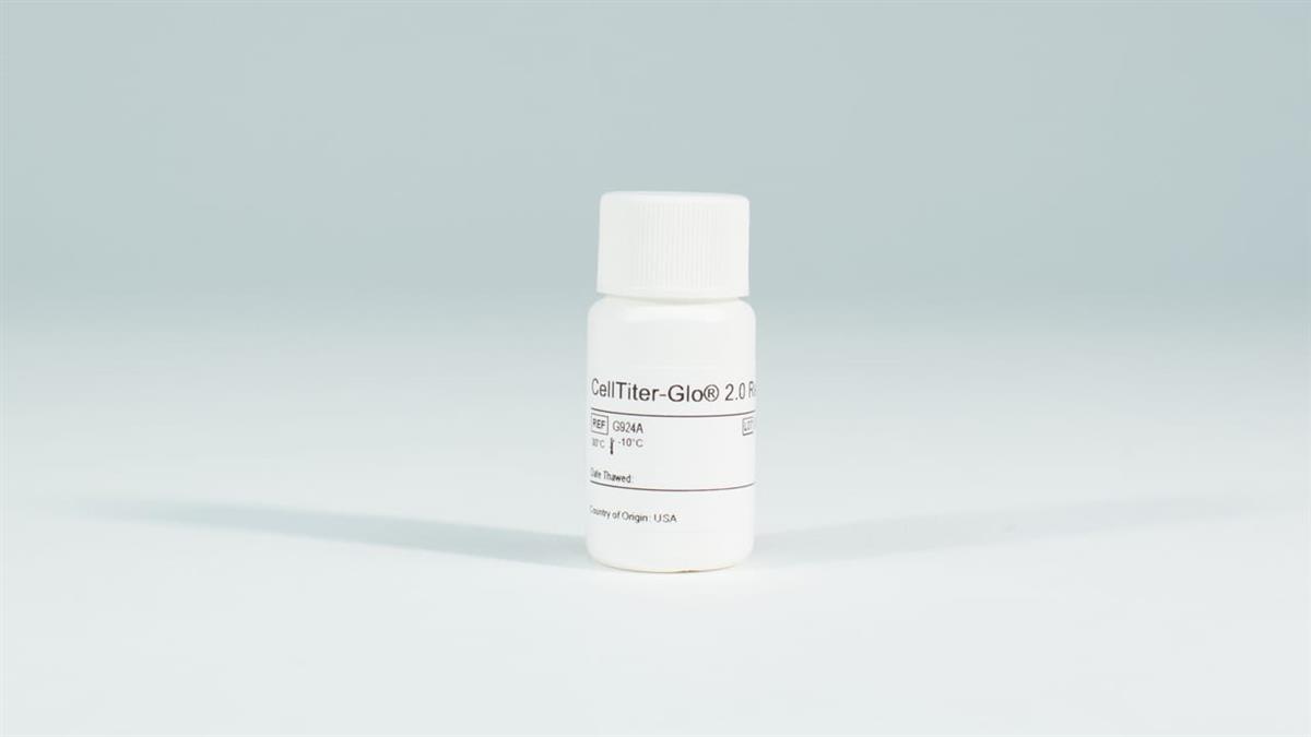 CellTiter-Glo 2.0 Assay, 10 ml