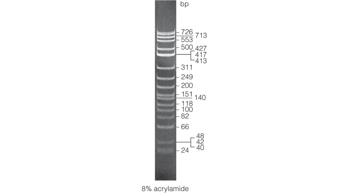 phiX174 DNA/Hinf I Dephosphorylated Markers