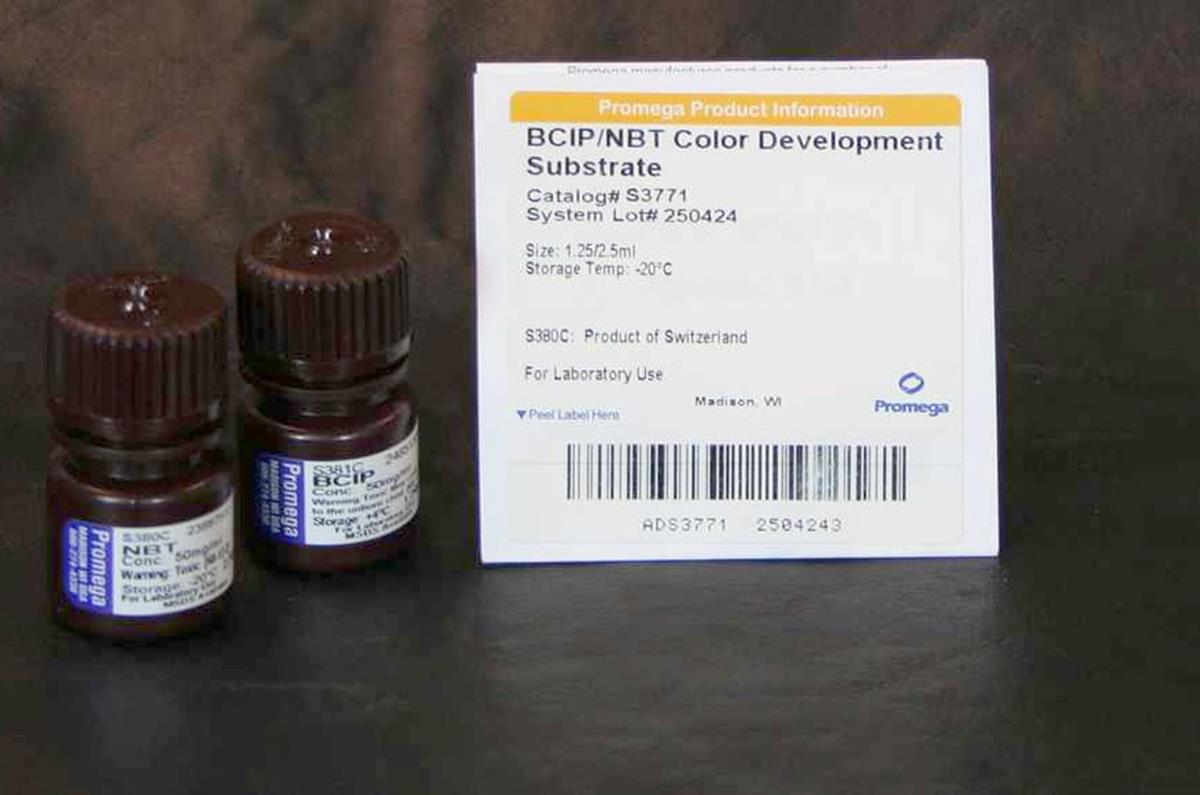 BCIP/NBT Color Development Substrate