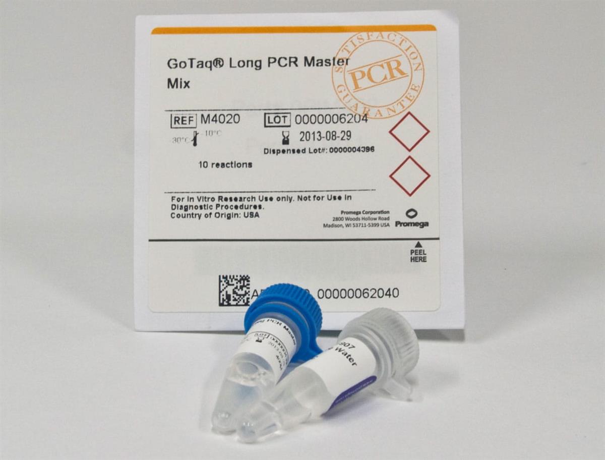 GoTaq Long PCR Master Mix