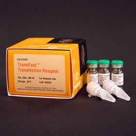 TransFast Transfection Reagent