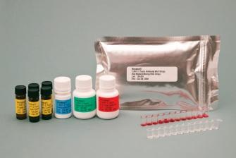 Veratox for T-2/ HT-2 Toxin - of 25-250ppb, inntil 38 sample